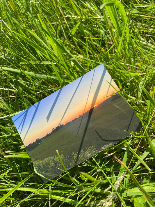 bench postcard